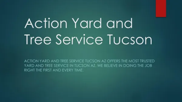 Action Yard and Tree Service Tucson