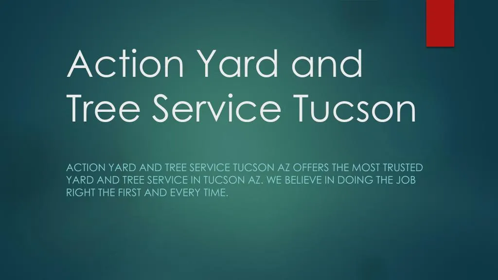 action yard and tree service tucson