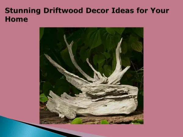 Stunning Driftwood Decor Ideas for Your Home
