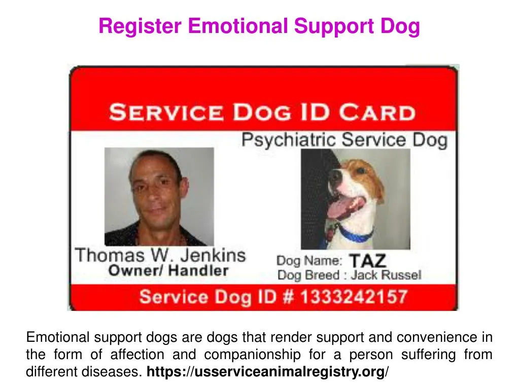 register emotional support dog