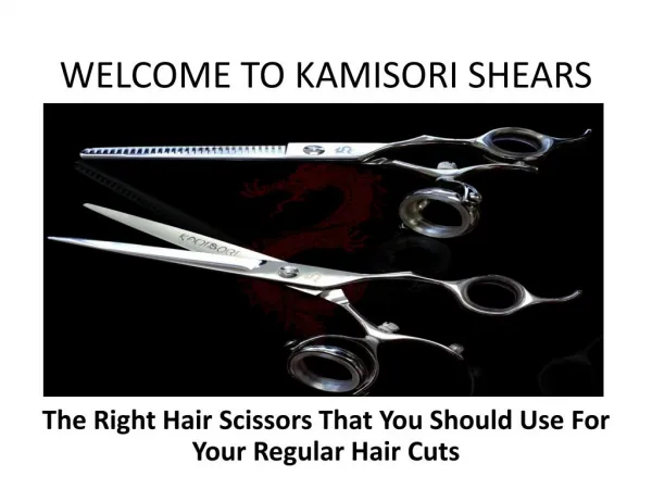 The Right Hair Scissors That You Should Use For Your Regular Hair Cuts