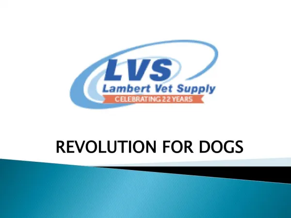 Revolution for Dogs