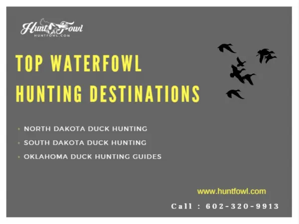 Top Waterfowl Hunting Destinations