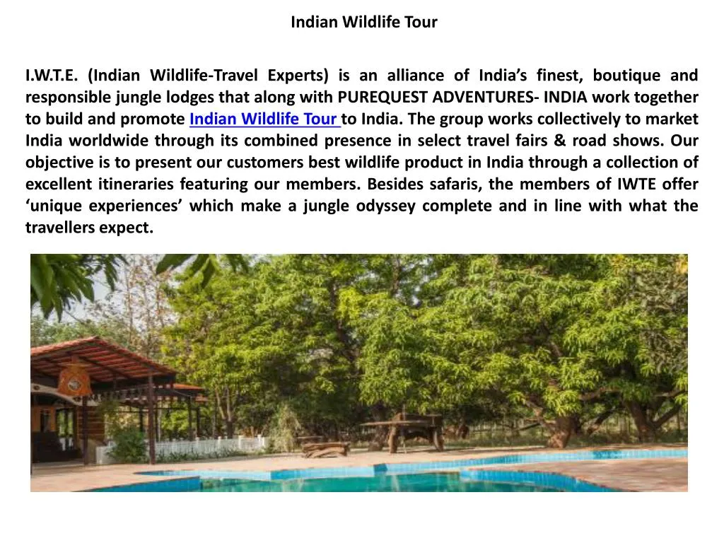 indian w ildlife tour