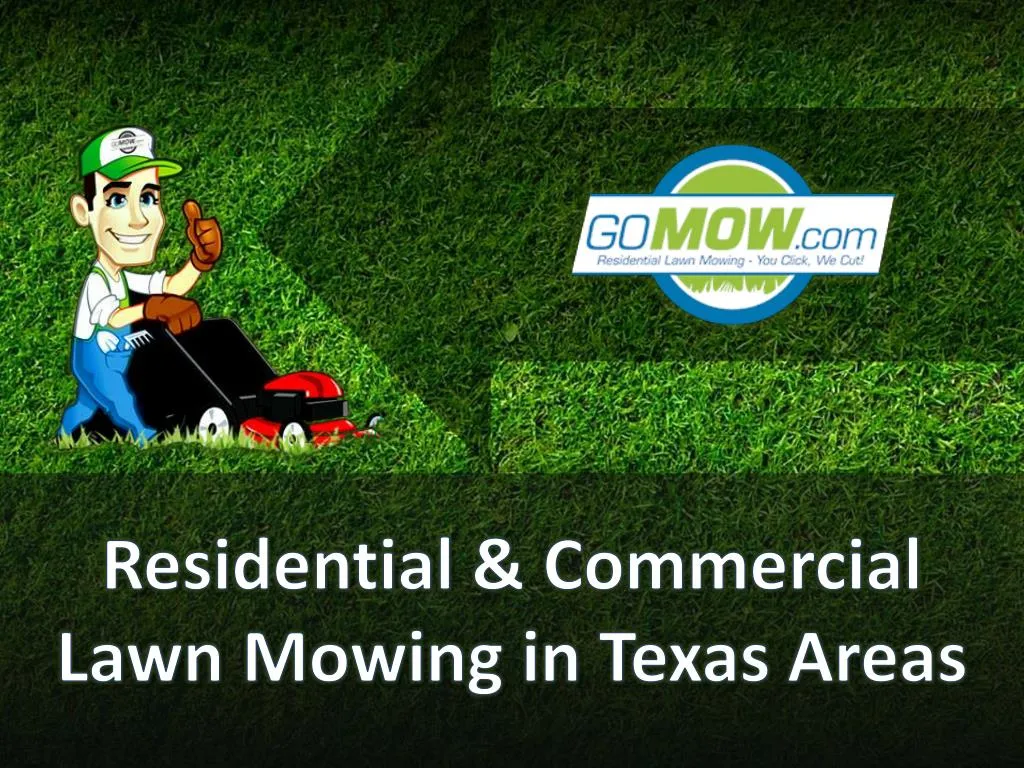 residential commercial lawn mowing in texas areas