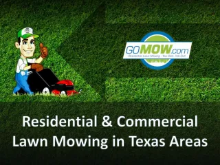 Residential & Commercial Lawn Mowing Services in Texas Areas