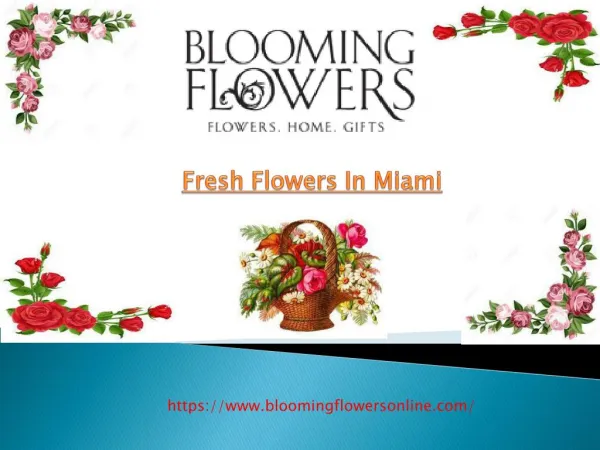 Fresh Flowers In Miami