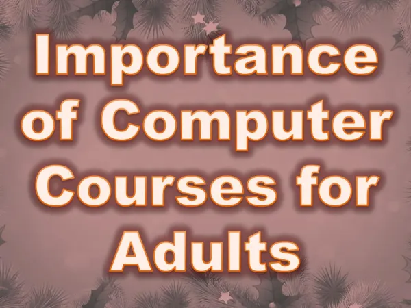 Importance of Computer Courses for Adults