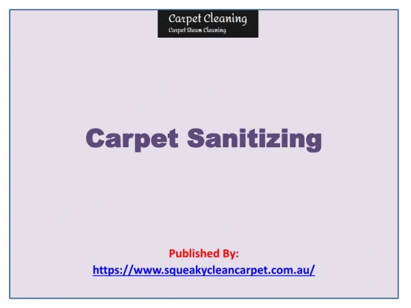Carpet Cleaning-Carpet Sanitizing