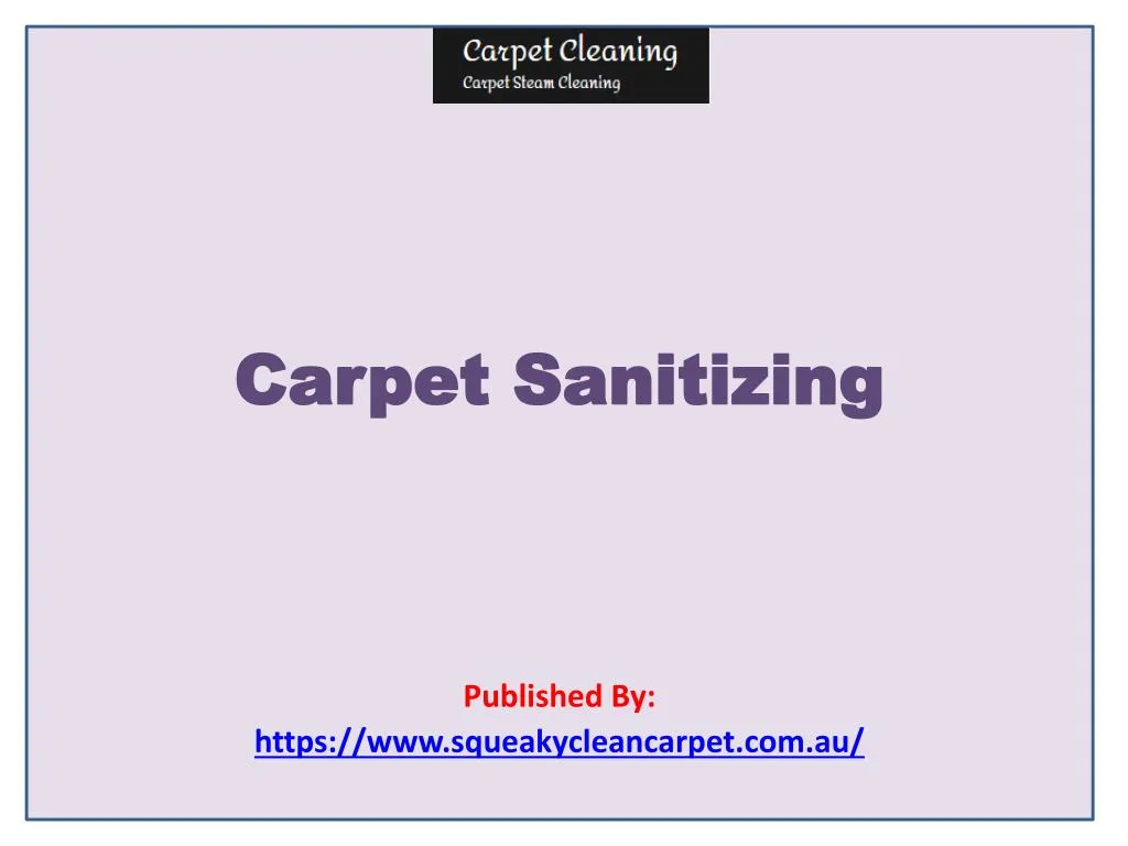 carpet sanitizing published by https www squeakycleancarpet com au