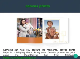 canvas wall art