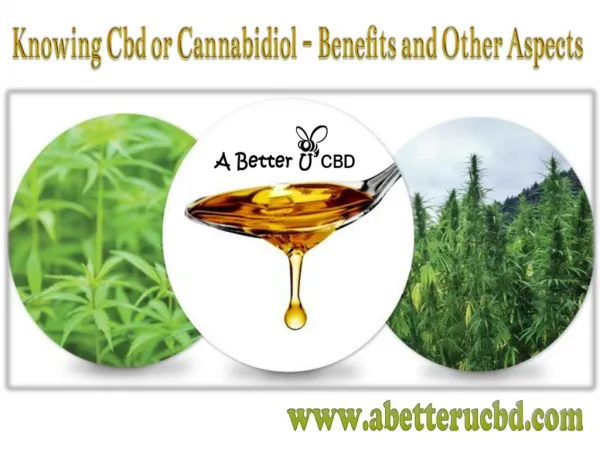 Knowing Cbd or Cannabidiol - Benefits and Other Aspects