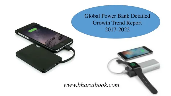 Global Power Bank Detailed Growth Trend Report 2017-2022