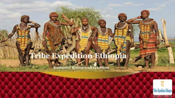 Are you planning to go for a vacation in Ethiopia ?