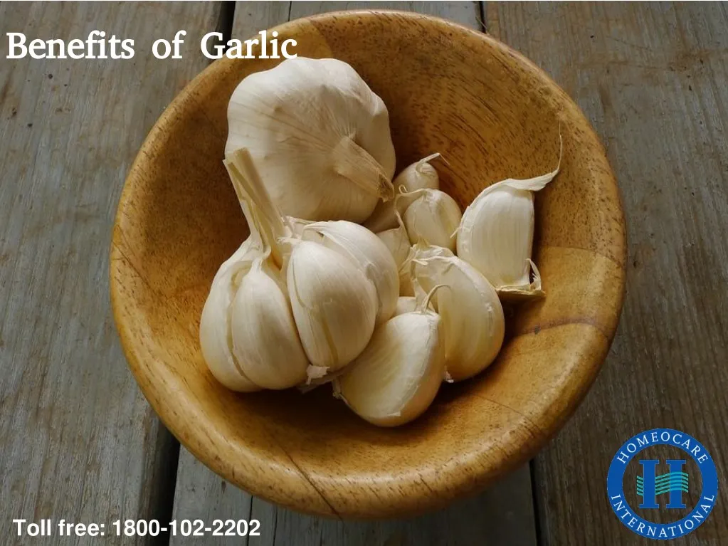 benefits of garlic benefits of garlic