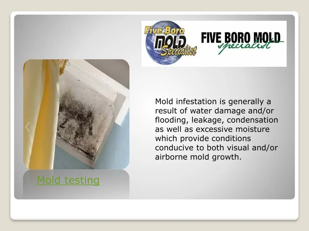mold infestation is generally a result of water