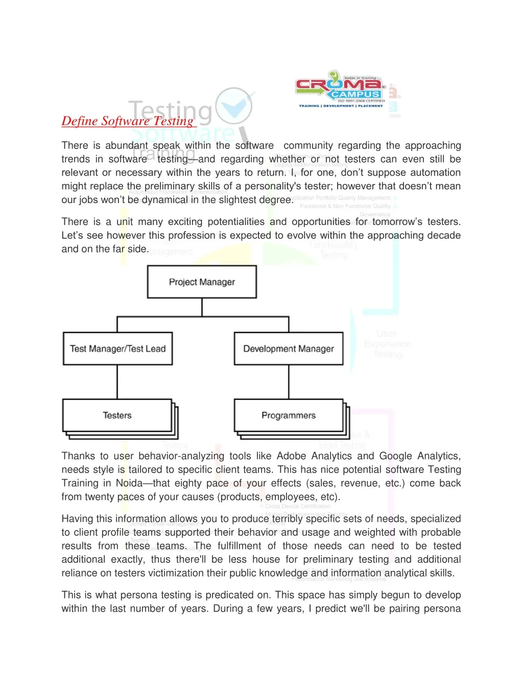 define software testing