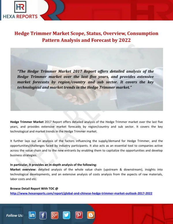 Hedge Trimmer Market Scope, Status, Overview, Consumption Pattern Analysis and Forecast by 2022