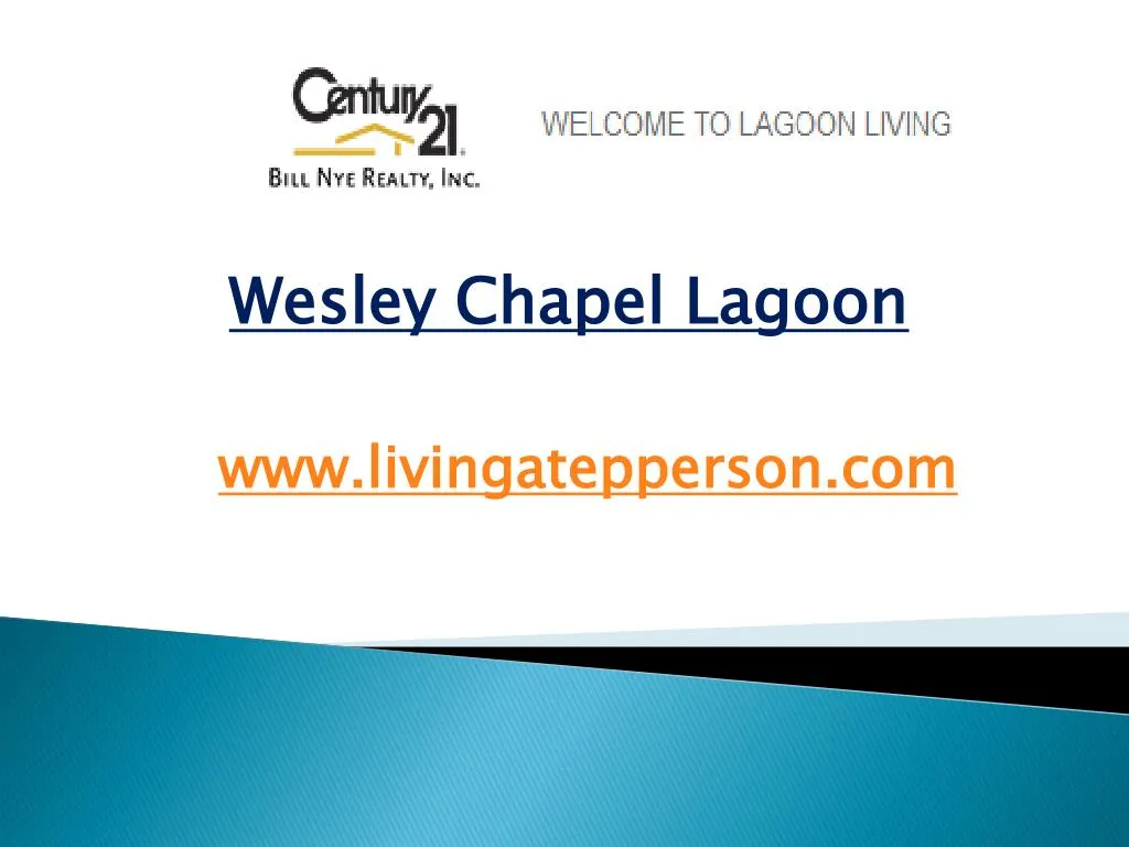 wesley chapel lagoon