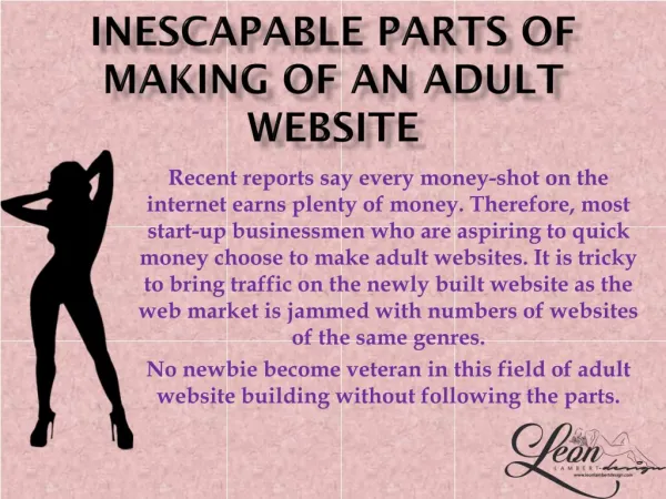 Inescapable Parts of Making of an Adult Website