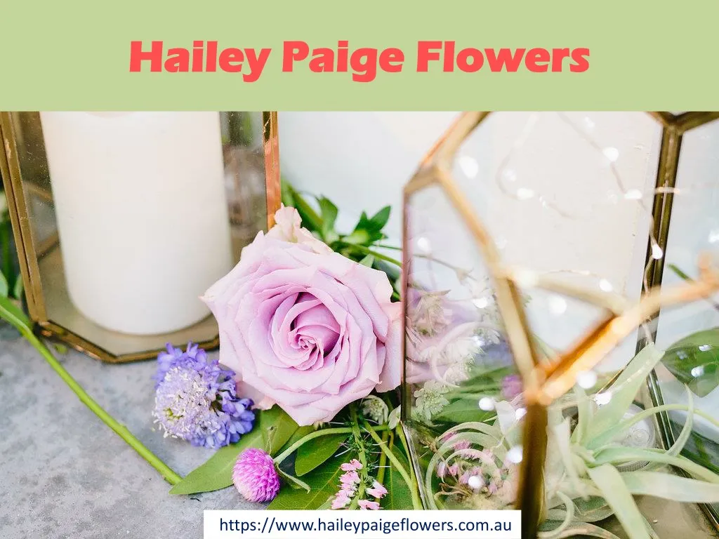 hailey paige flowers hailey paige flowers