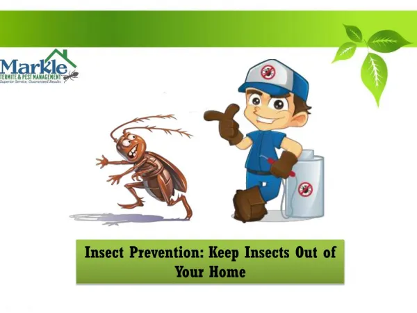 Insect Prevention: Keep Insects out of your Home