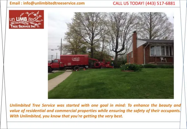 Tree Service Burtonsville, Maryland