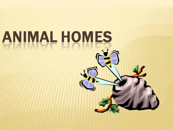 ANIMAL HOMES