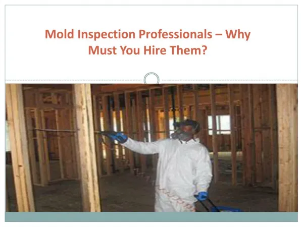 Mold Inspection Professionals – Why Must You Hire Them?
