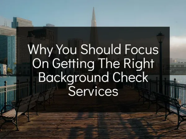 Why You Should Focus On Getting The Right Background Check Services