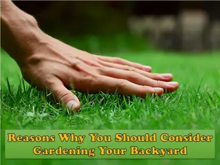 Reasons Why You Should Consider Gardening Your Backyard - slide 1
