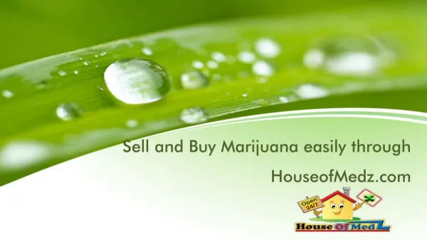 House of Medz: The Best Choice for Weed Sellers and Buyers