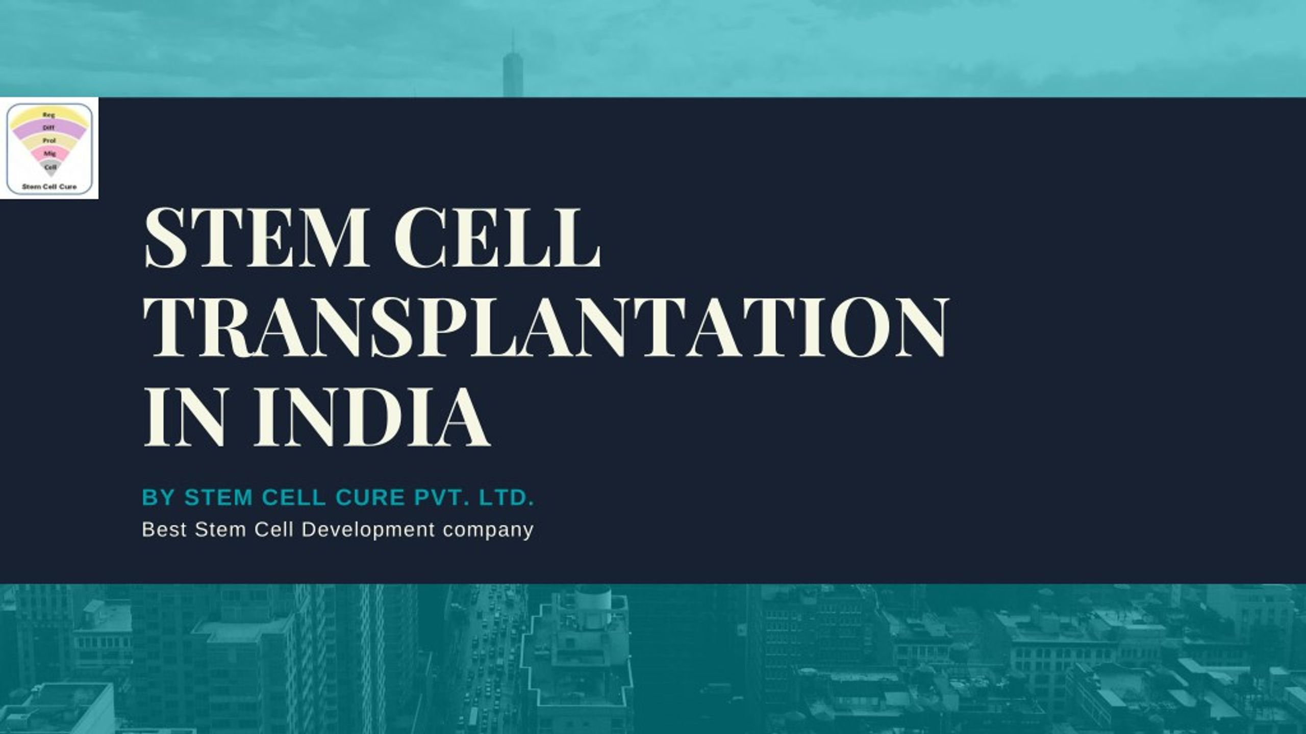 PPT - Stem Cell Transplantation in India PowerPoint Presentation, free ...