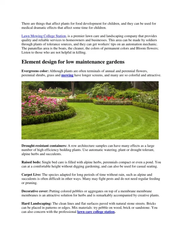 How to Design a Low-Maintenance Garden