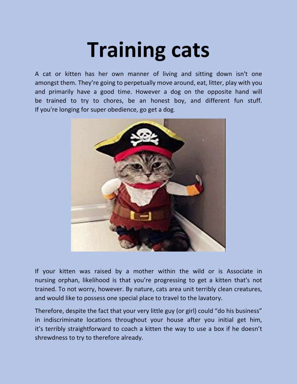 training cats