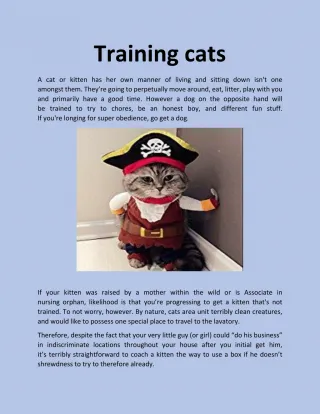 Training cats