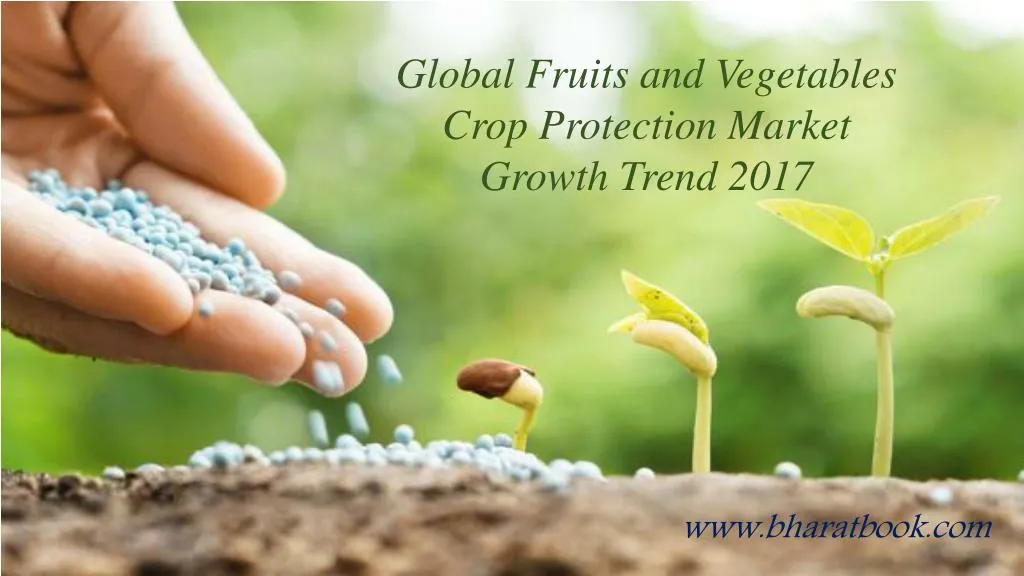 global fruits and vegetables crop protection