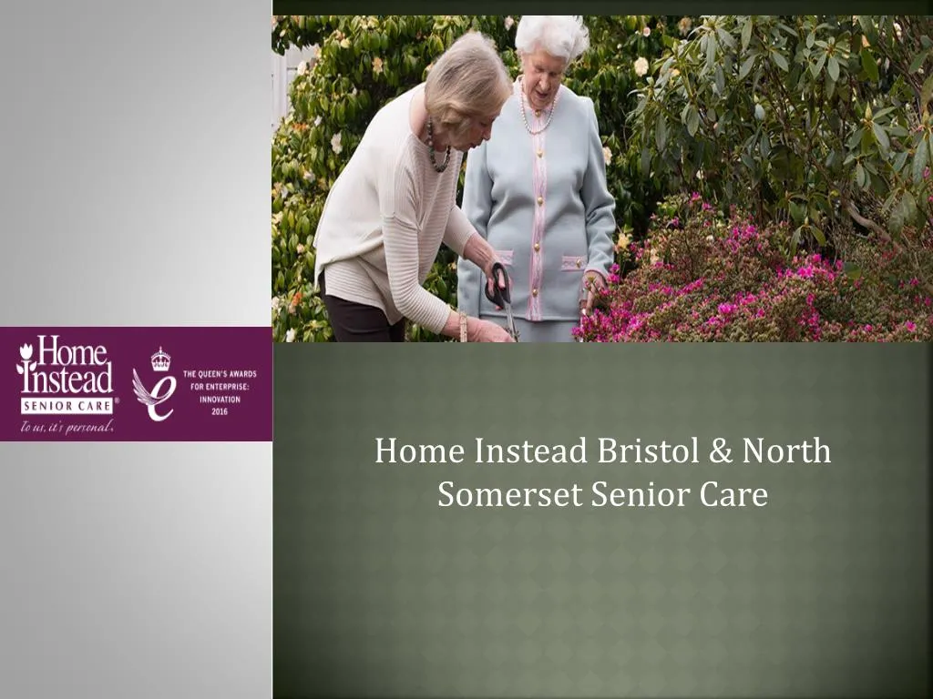 home instead bristol north somerset senior care