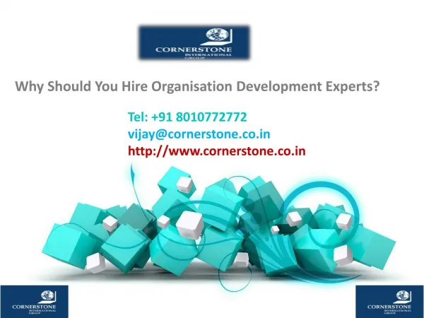 Why Should You Hire Organisation Development Experts?
