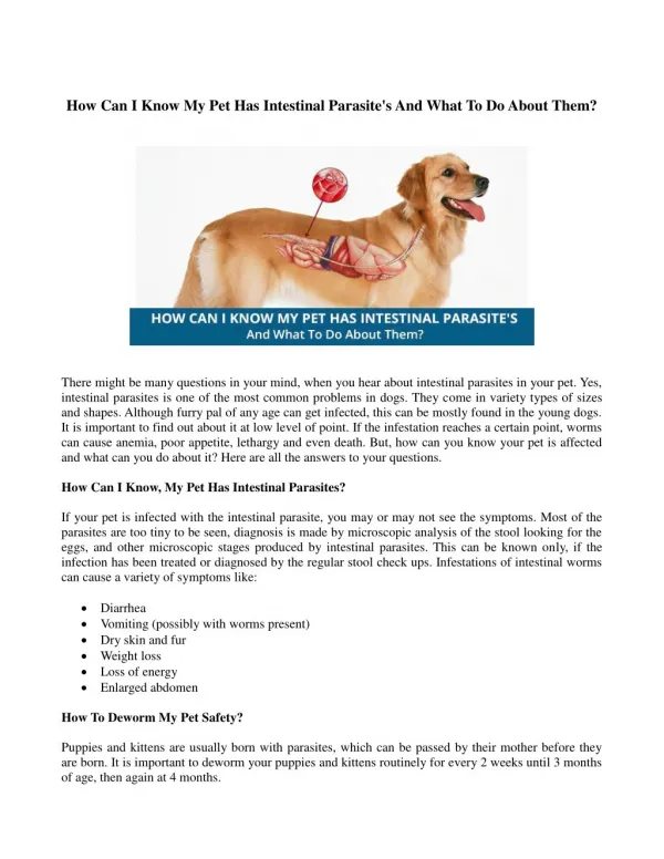How Can I Know My Pet Has Intestinal Parasite's And What To Do About Them