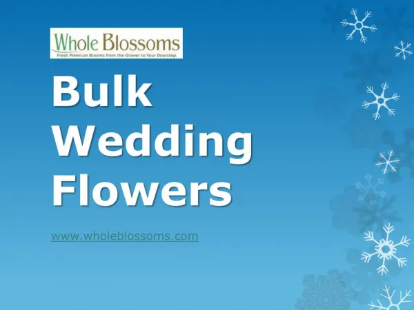 Bulk Wedding Flowers - www.wholeblossoms.com