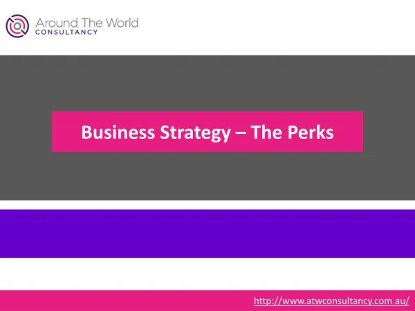Business Strategy – The Perks