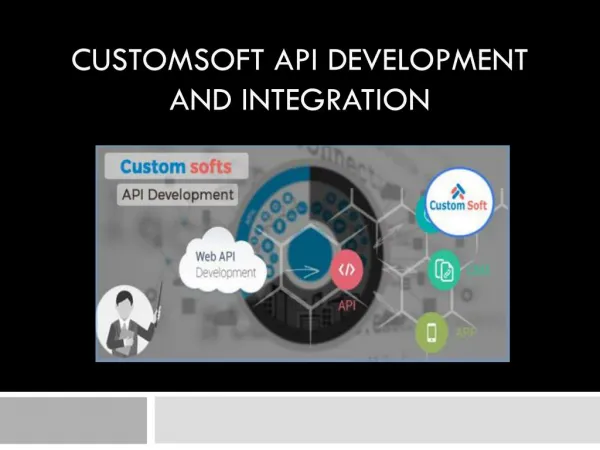 Customized Software for API Development and Integration