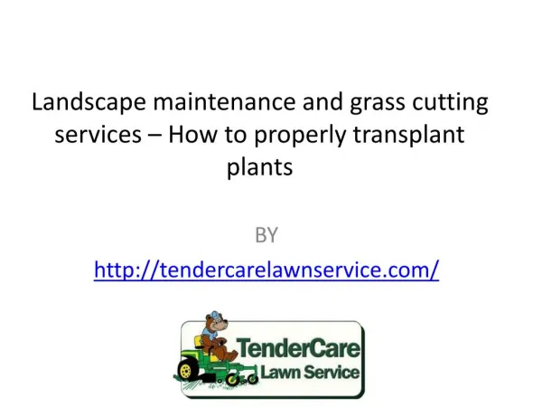 Landscape maintenance and grass cutting services – How to properly transplant plants