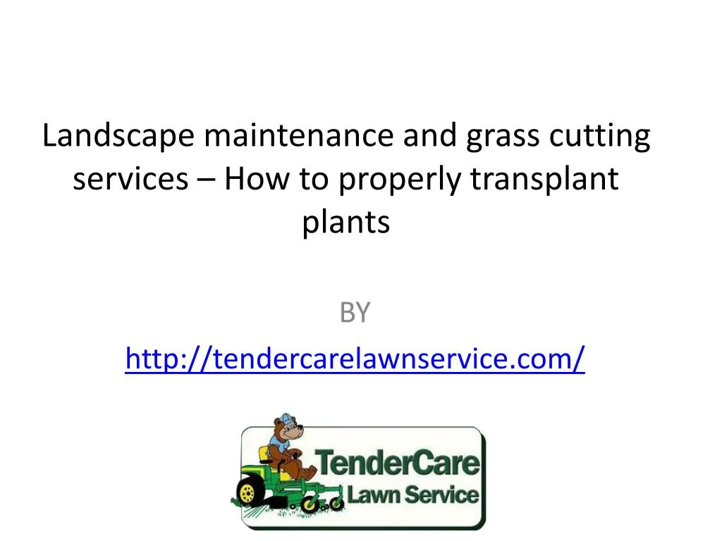 landscape maintenance and grass cutting services how to properly transplant plants