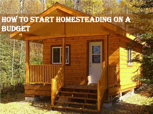 How to Start Homesteading On A Budget