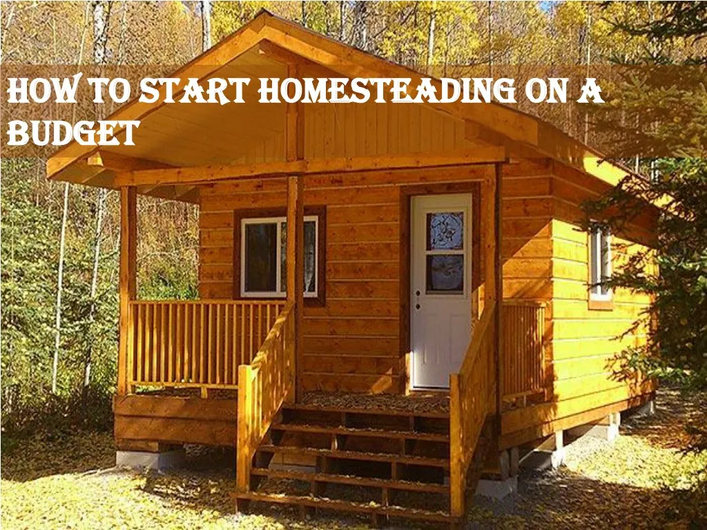 how to start homesteading on a how to start