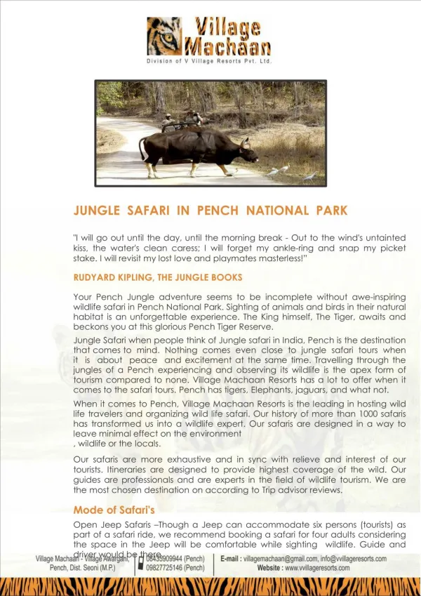 Pench Jungle Safari Booking