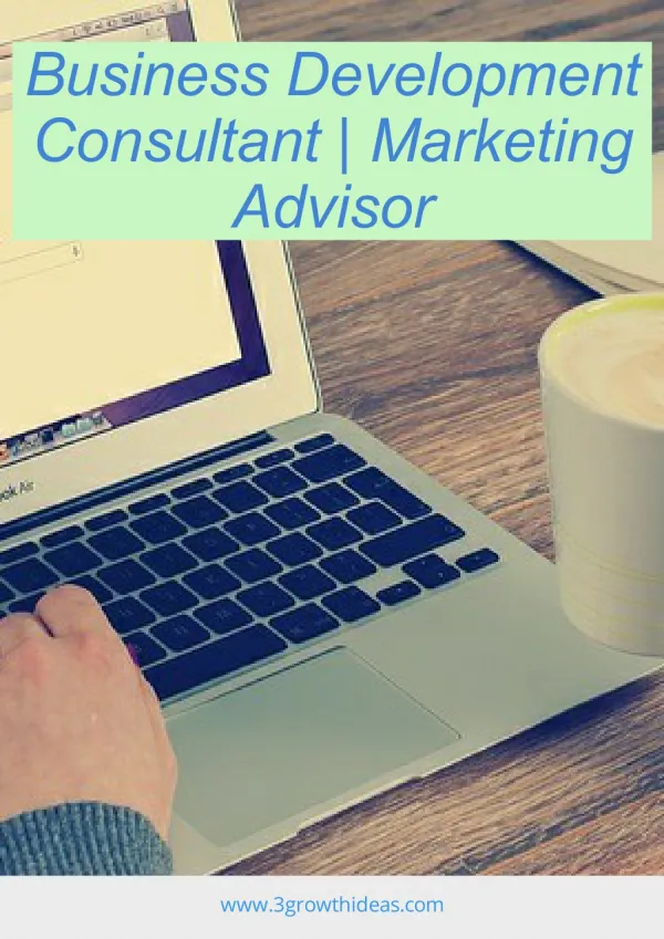 Business Development Consultant | Marketing Advisor