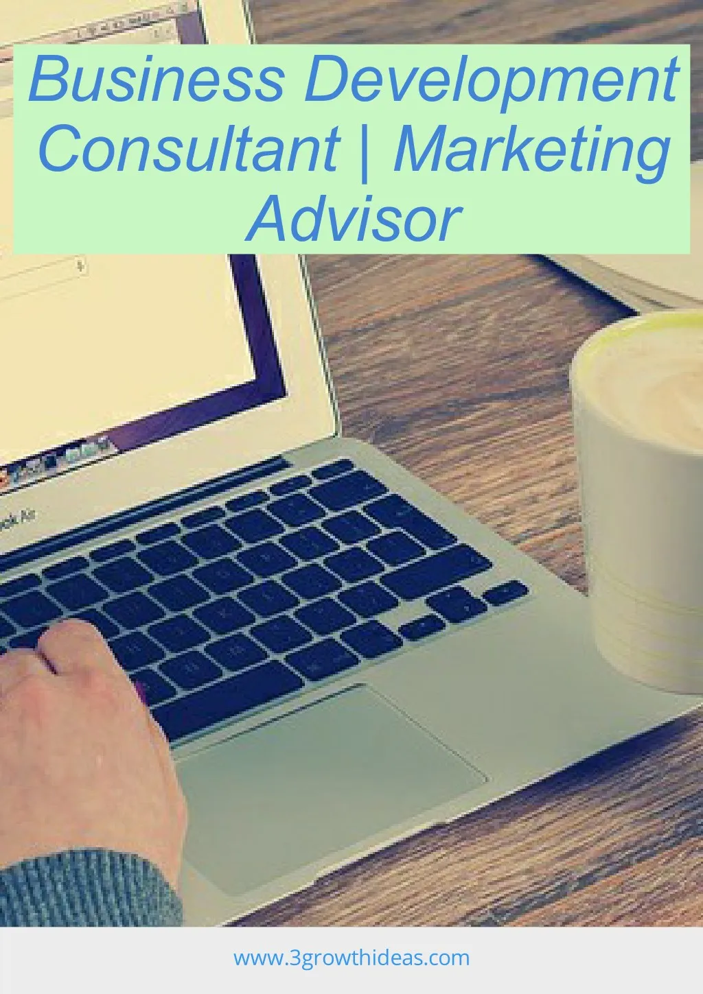 business development consultant marketing advisor